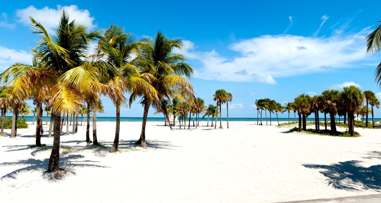 The Palm Beaches: Florida's Best Travel Destination