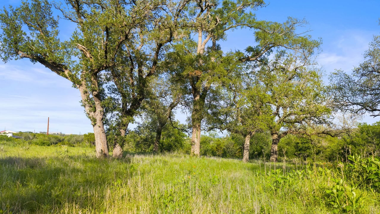 5311 Spring Preserve Trl LOT