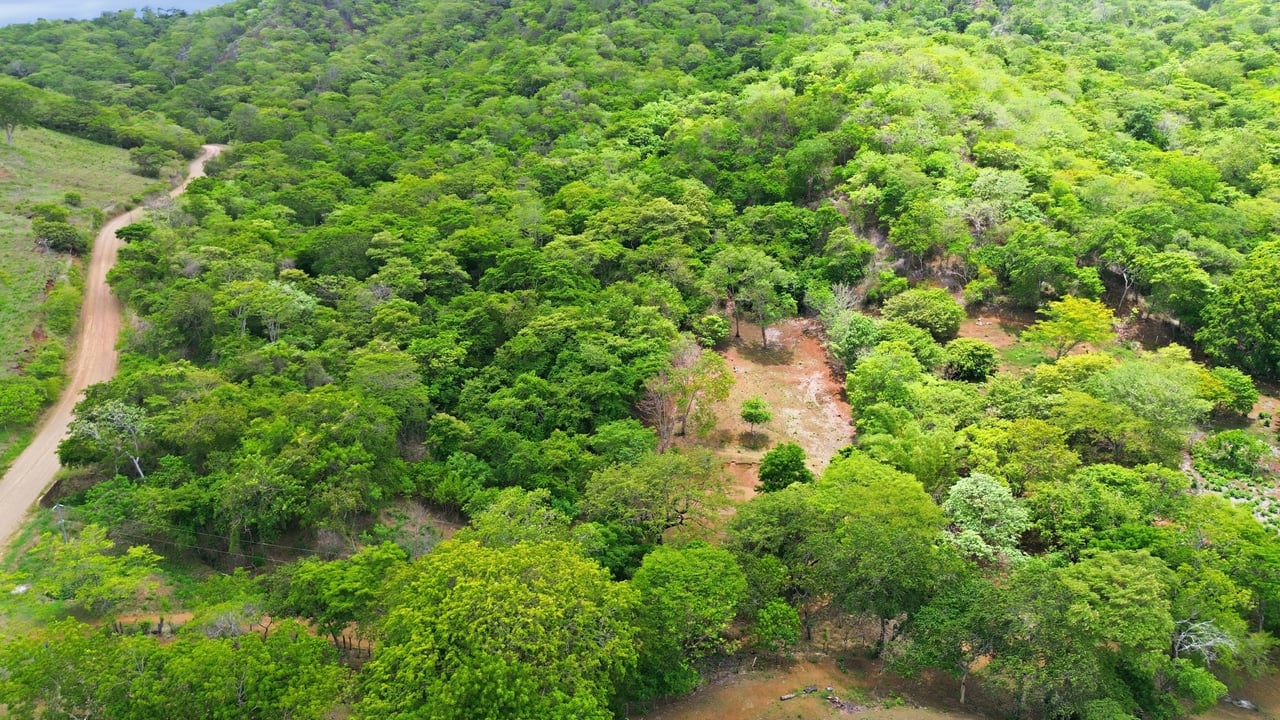 3.4 Acres of Quiet Country Living | 12 minutes from the Beach - Tempate 