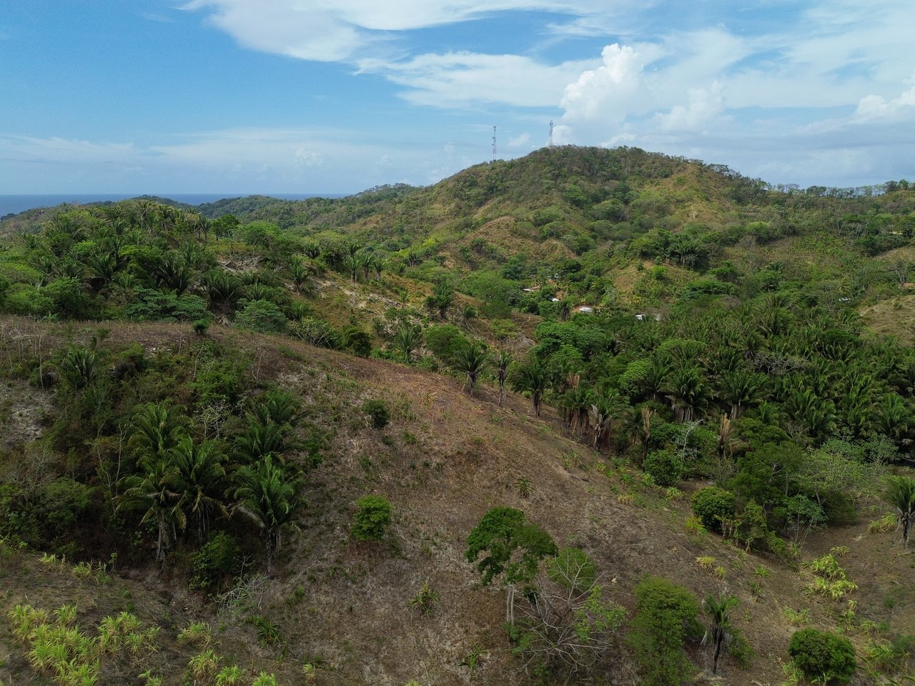 24 Acres located in Six Huts, Milton Bight