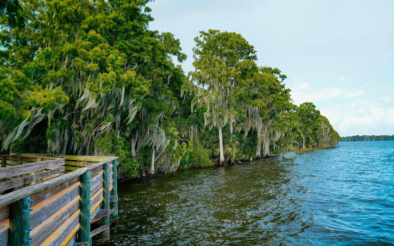 Moss-draped trees line a lake beside a weathered wooden dock.
