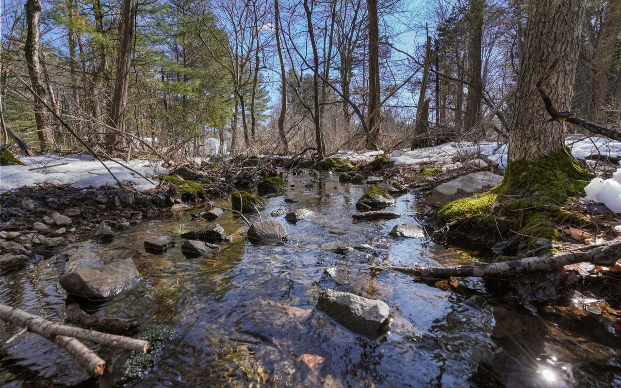 Needham