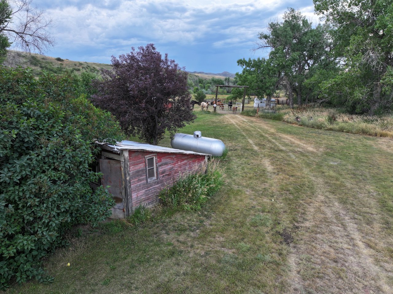Dutch Creek Ranch 