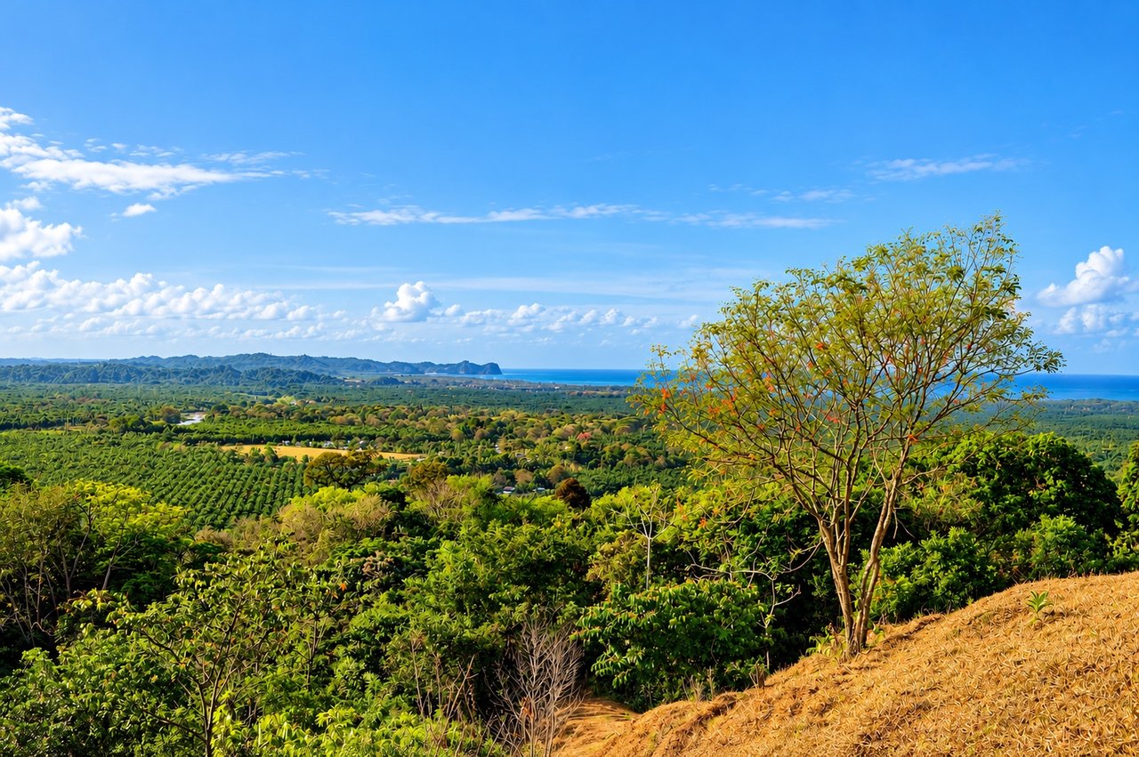 Vista Grande, 235 Acres with 6 bed home and Pool, (HUGE PRICE REDUCTION)