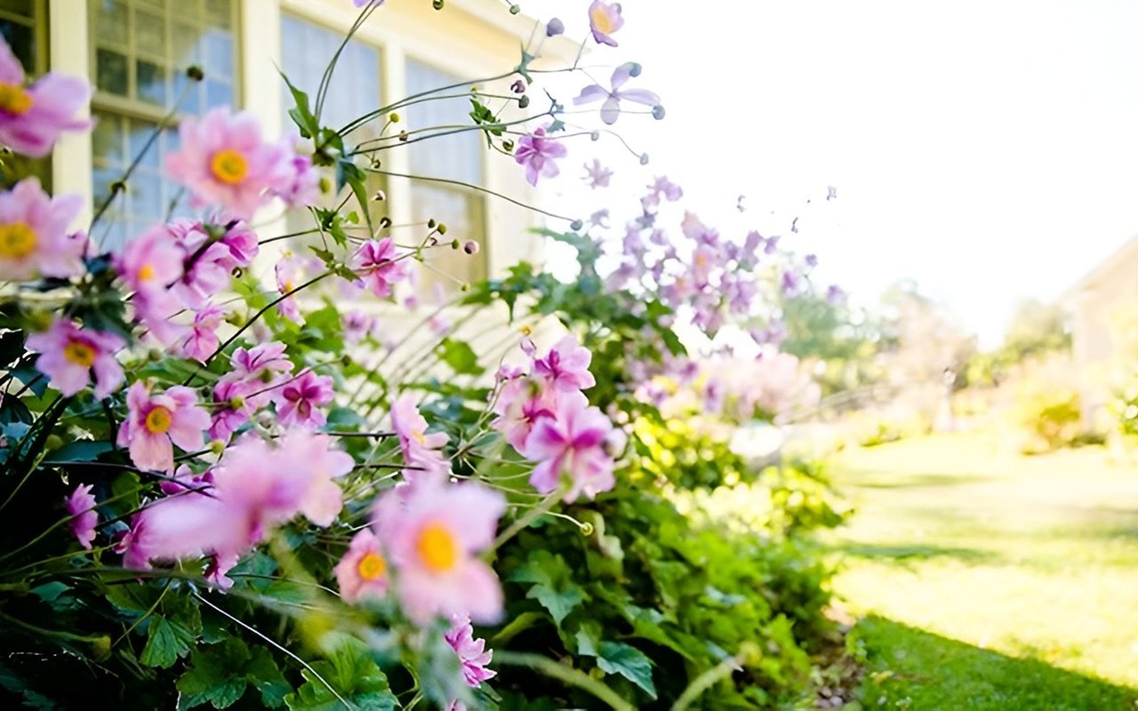 Will the Housing Market Bloom This Spring?