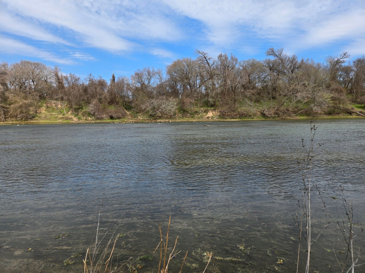 +/- 90 Acre Colorado River Ranch Coming Soon!