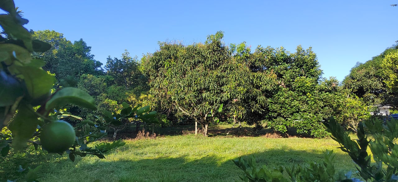 PRIME 1,100 M² LOT IN RESIDENCIAL LOS VIEJOS – FLAT, PRIVATE, AND READY TO BUILD