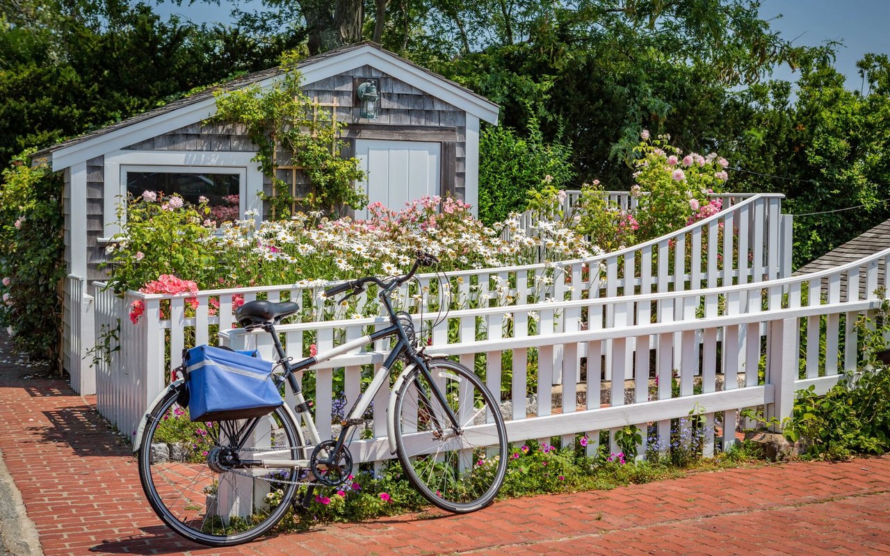 Day 3: The Joe Rodota Trail