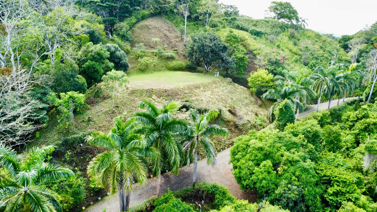 3.6 Acre Ocean View, Near the Beach & Cool Mountain Elevation