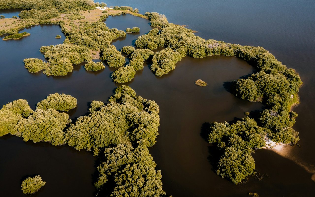 Aerial view of tree-covered islands surrounded by water near Cedar Key.