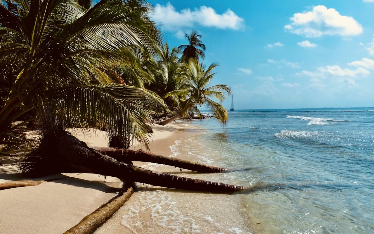 Reconnect with Nature in the BVI