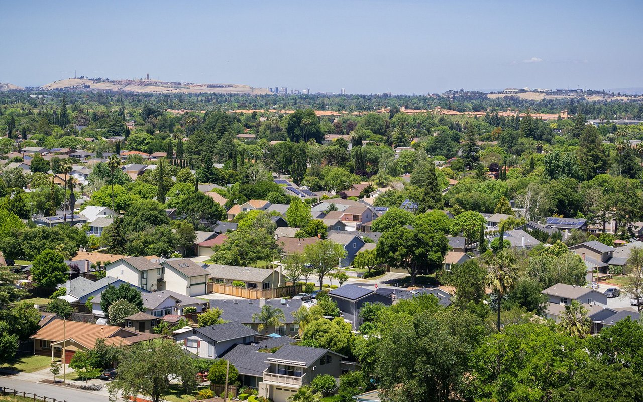 Blossom Valley