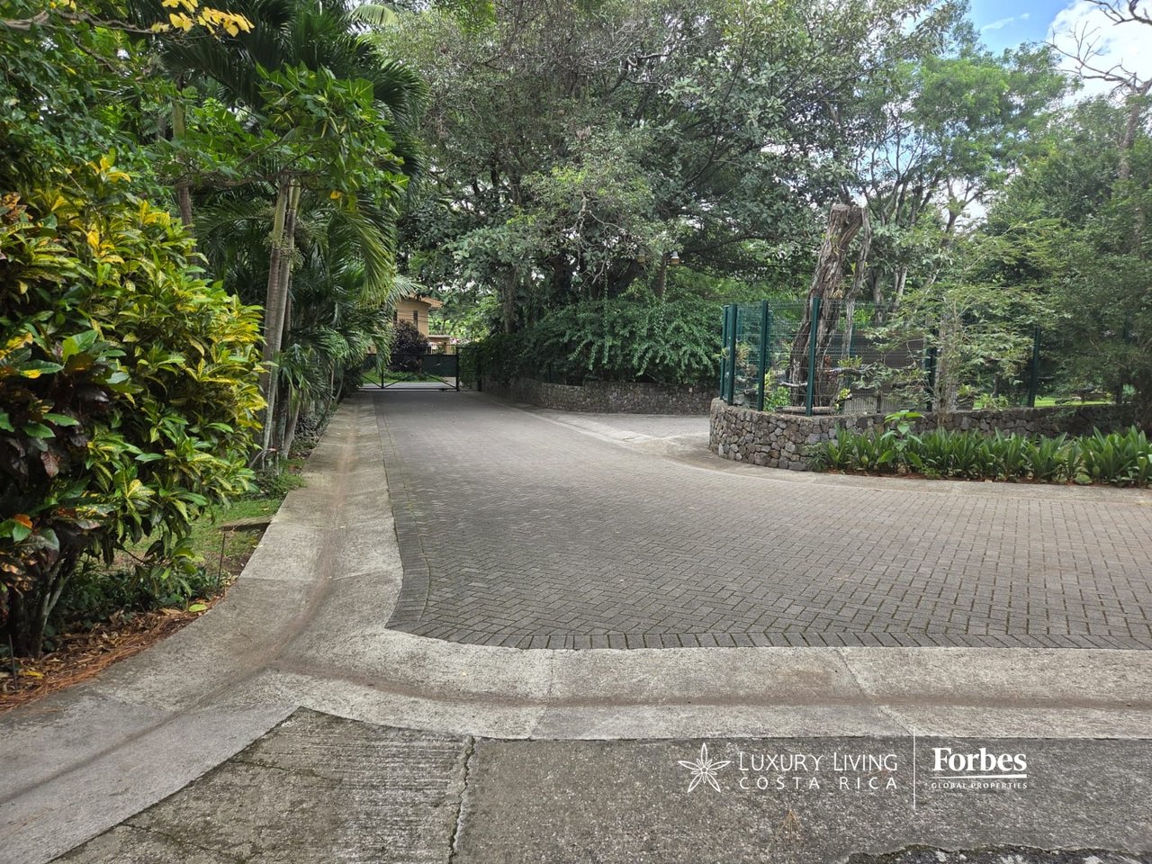 Paved property driveway bordered by tropical greenery and stone walls, leading to a metal gate.