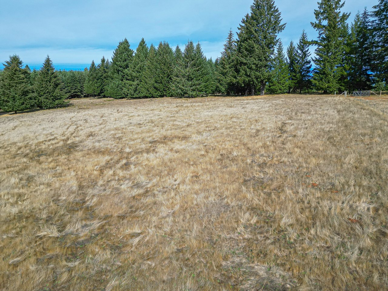 Panther Creek Homestead