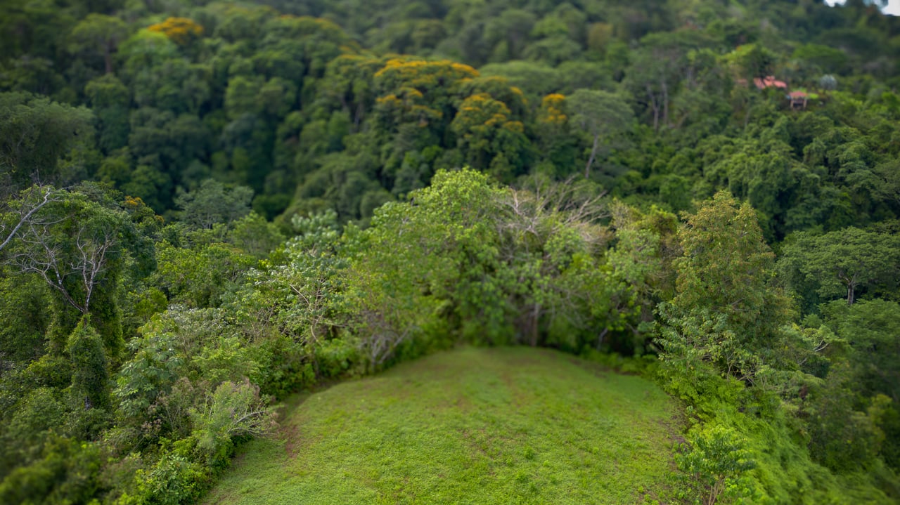 Oceancrest Cascada, Cascada el Sandalo 