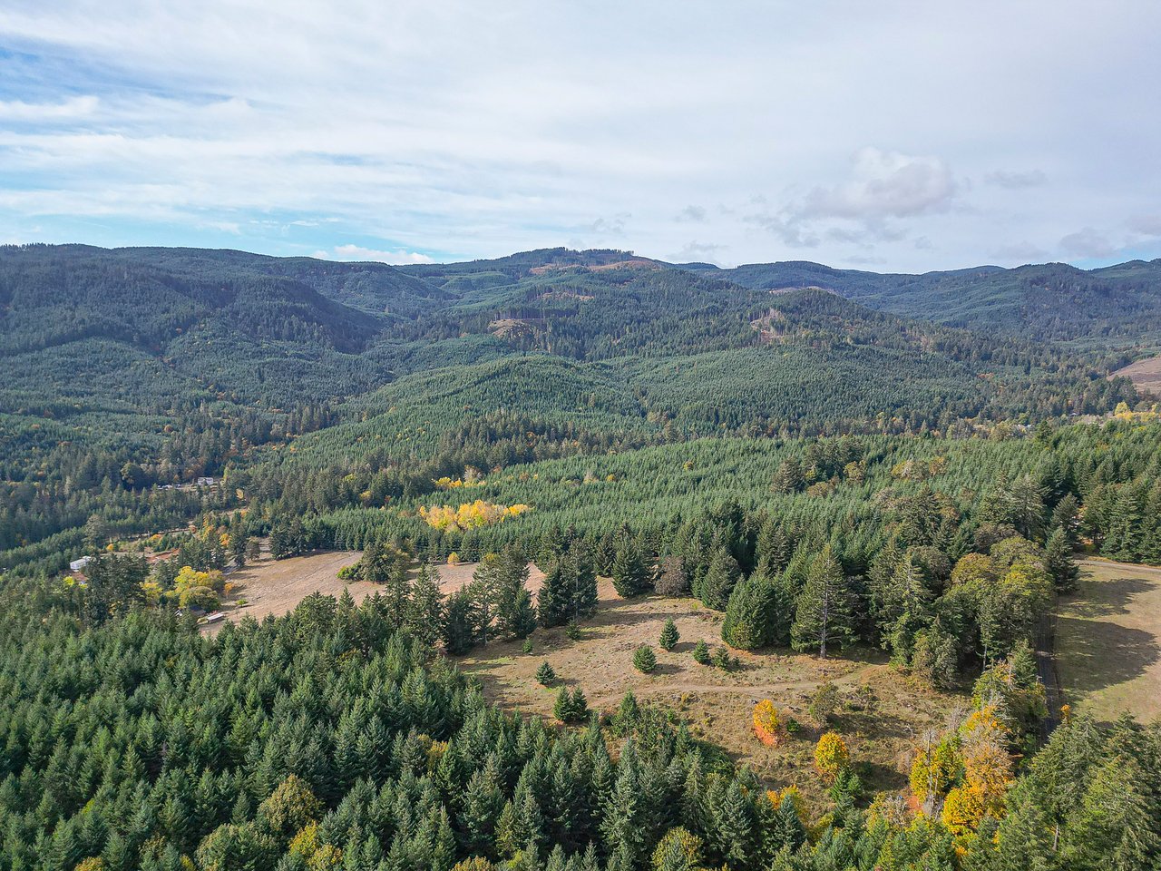 Panther Creek Homestead