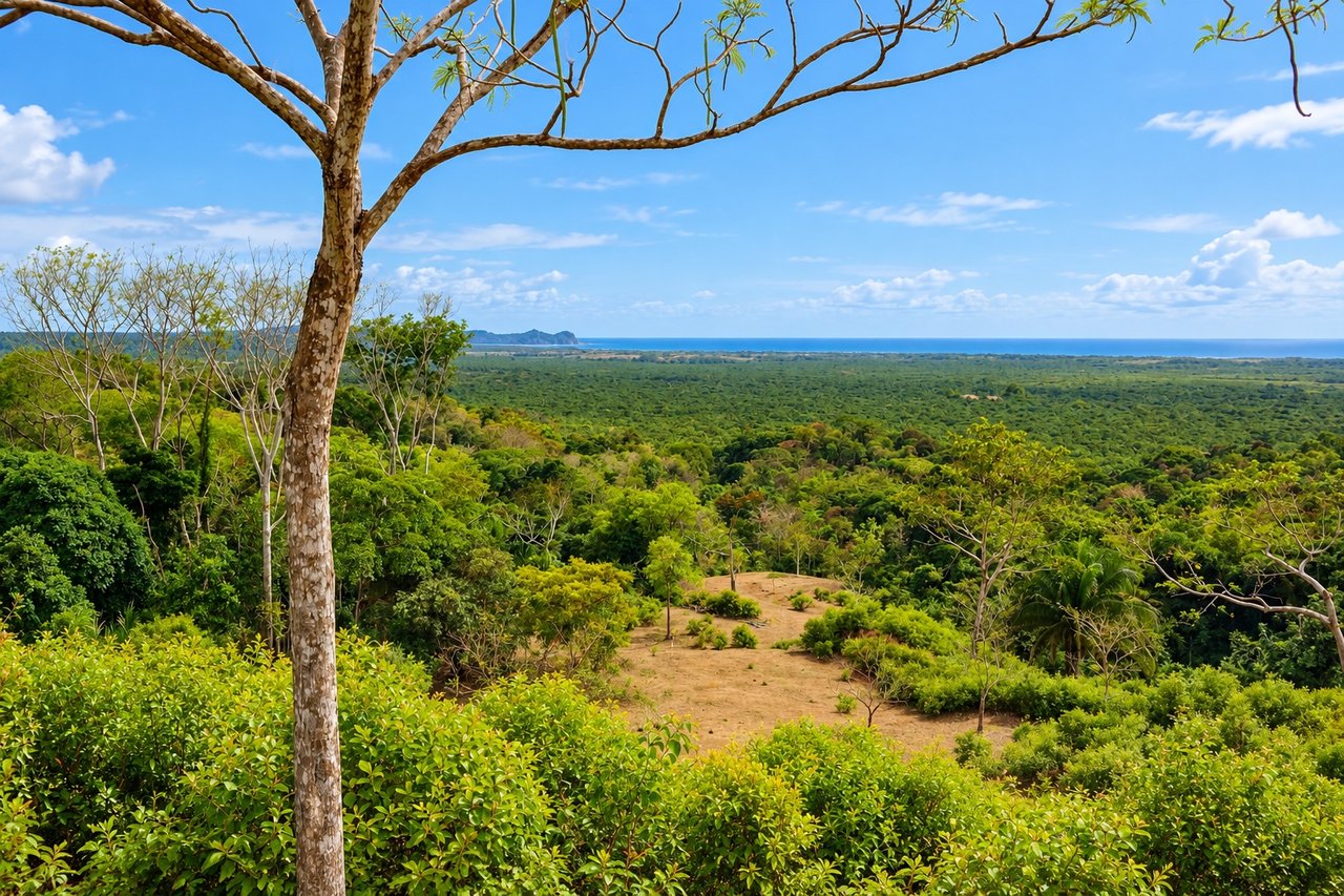 Vista Grande, 235 Acres with 6 bed home and Pool, (HUGE PRICE REDUCTION)