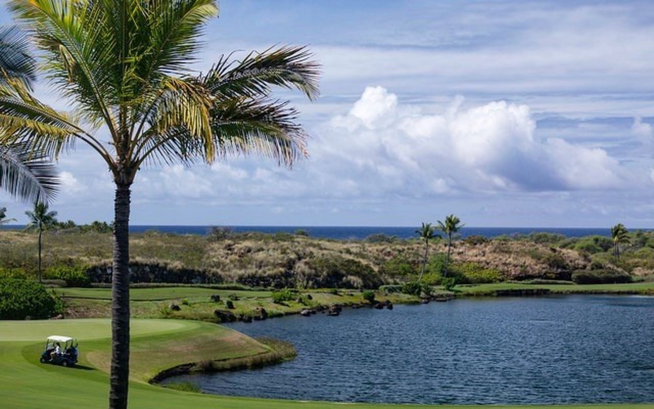 73-4806 Hinahina Rd #12