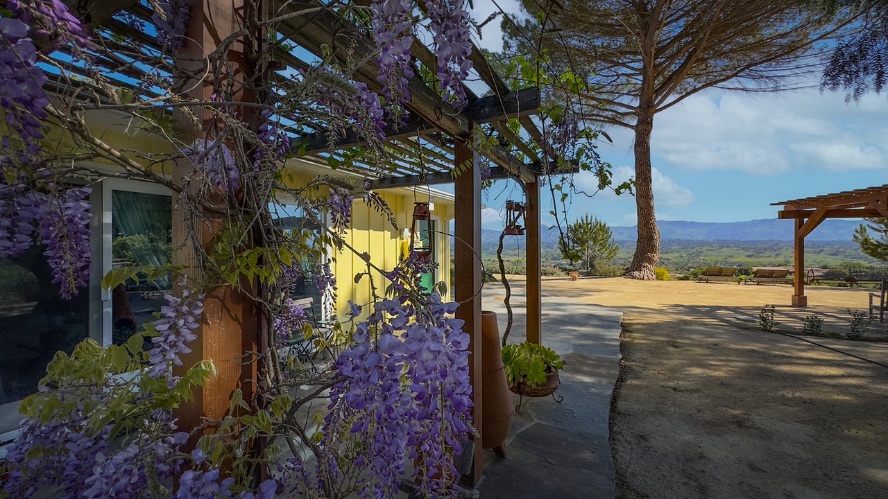 Where Tranquility meets Inspiration