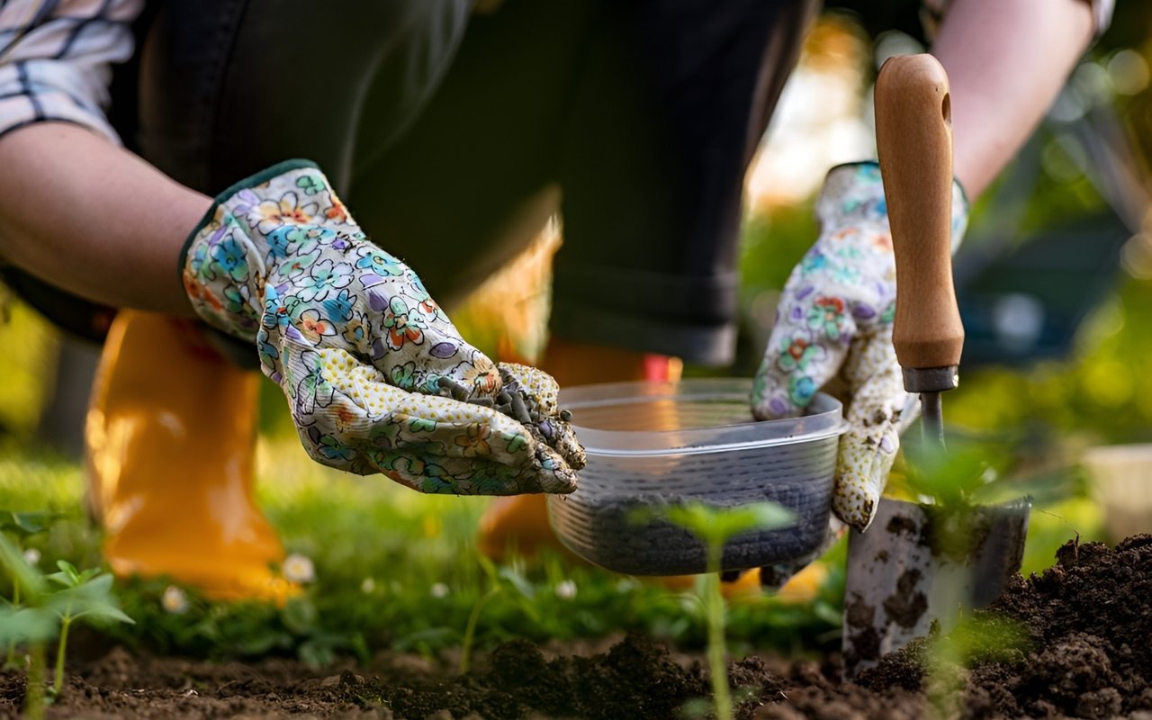 Unveiling Green Thumbs: Essential Gardening Tips for Flourishing Gardens