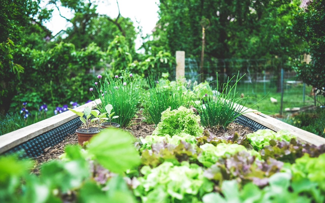 DIY Garden Projects to Enhance Your Spring Landscaping