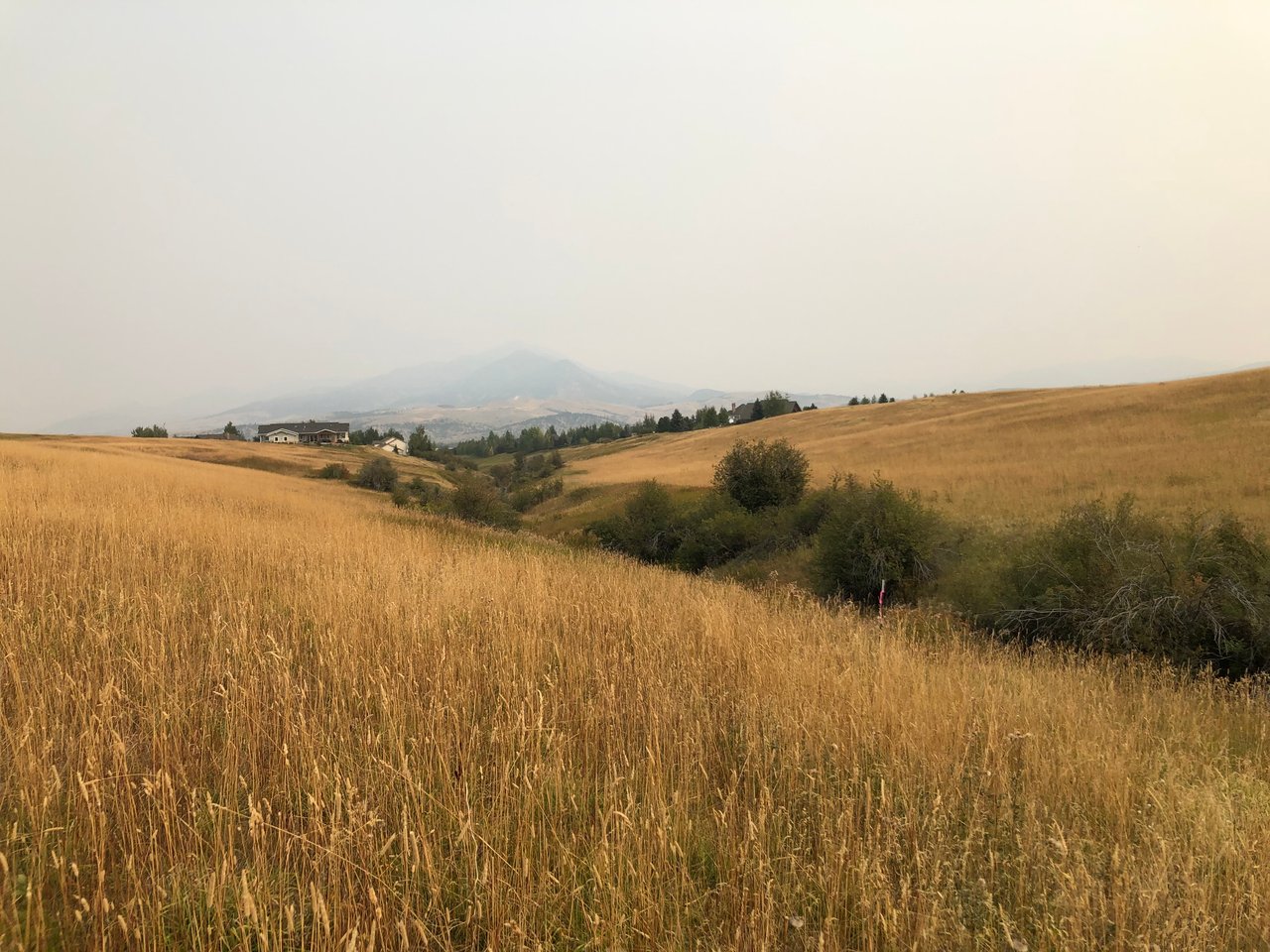 8 Elk Ln Tract 8A