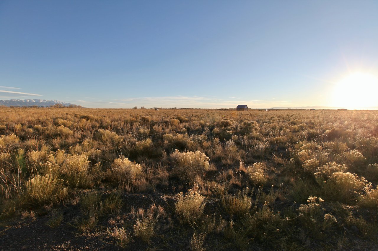 Pine Cone Road Homesites