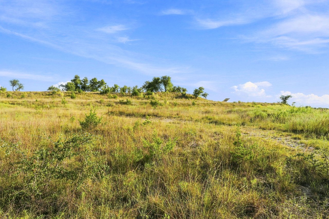 Open ranch acreage with rolling grassland, scattered trees, and a wide blue sky.