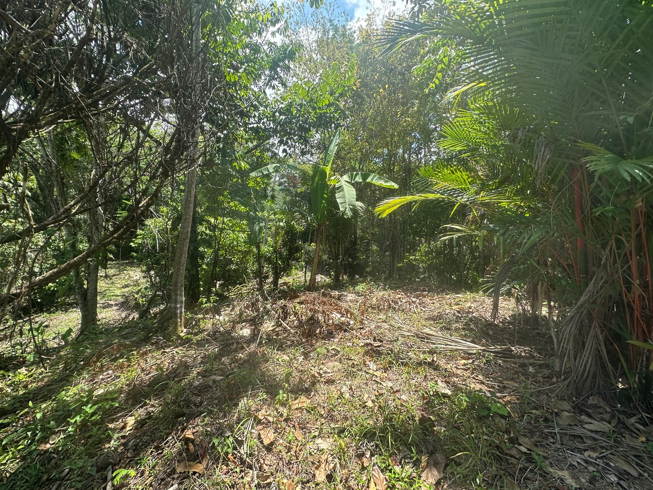 Ocean View Estate Lot with Private Waterfall – Uvita