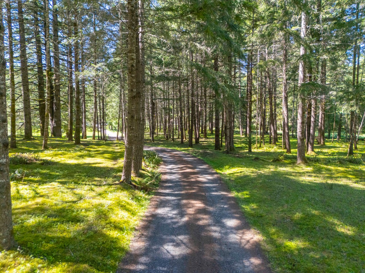 MOSBY CREEK FARM & FOREST