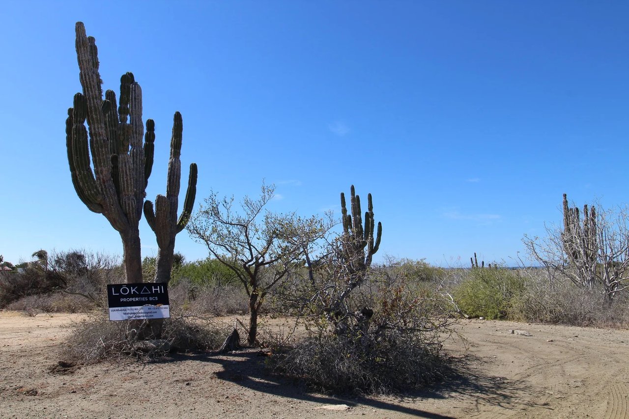 Ranchito Ellias Calles