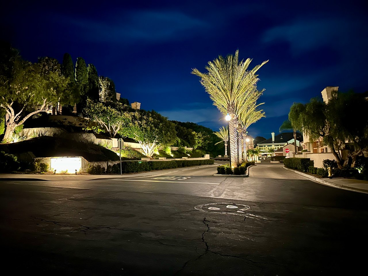 Riviera sub-community entrance in Bear Brand, Laguna Niguel — palm trees in the center median at dusk with illuminated terraced landscaping