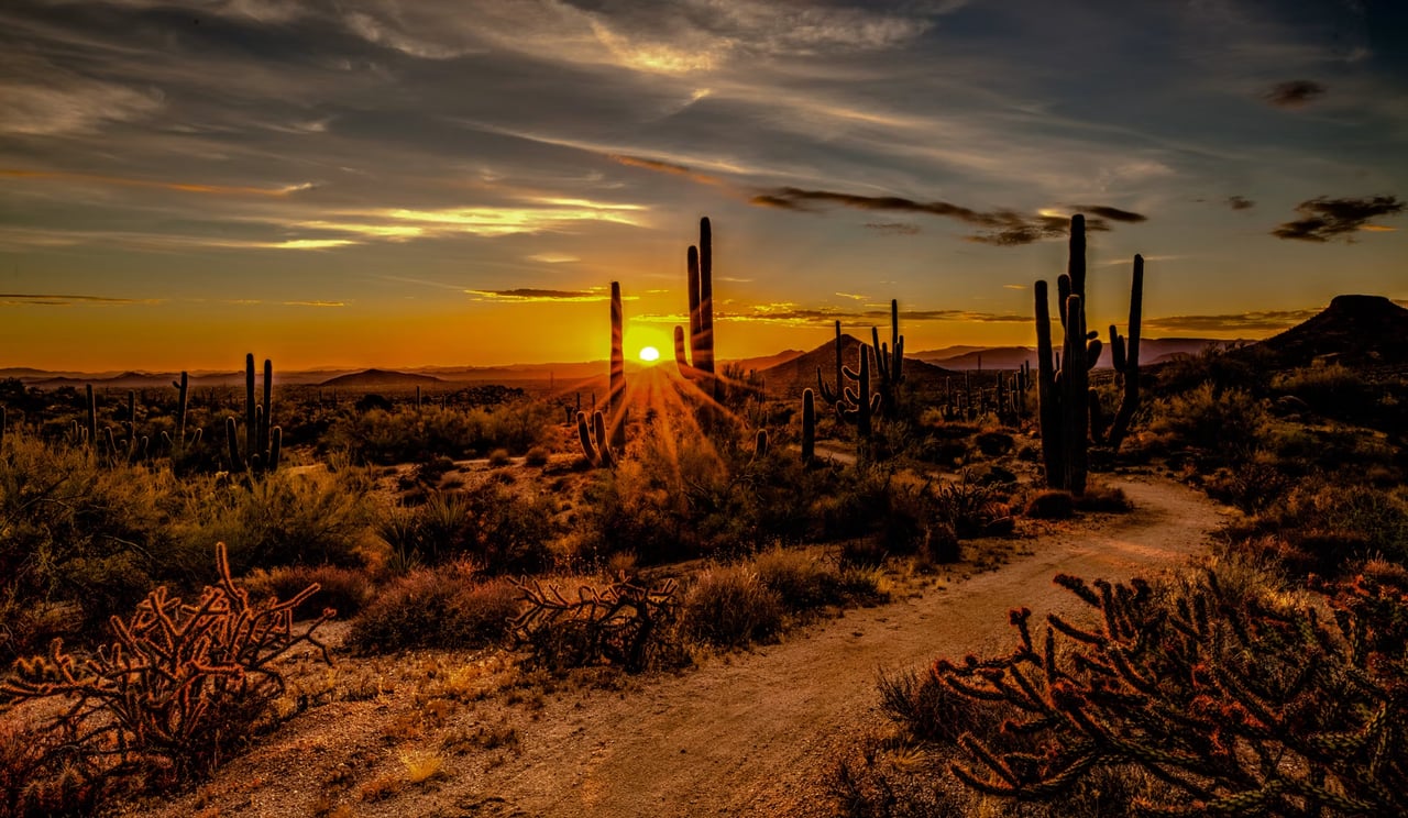 Hiking Spots in Phoenix and Scottsdale That Showcase the Beauty of Desert Living