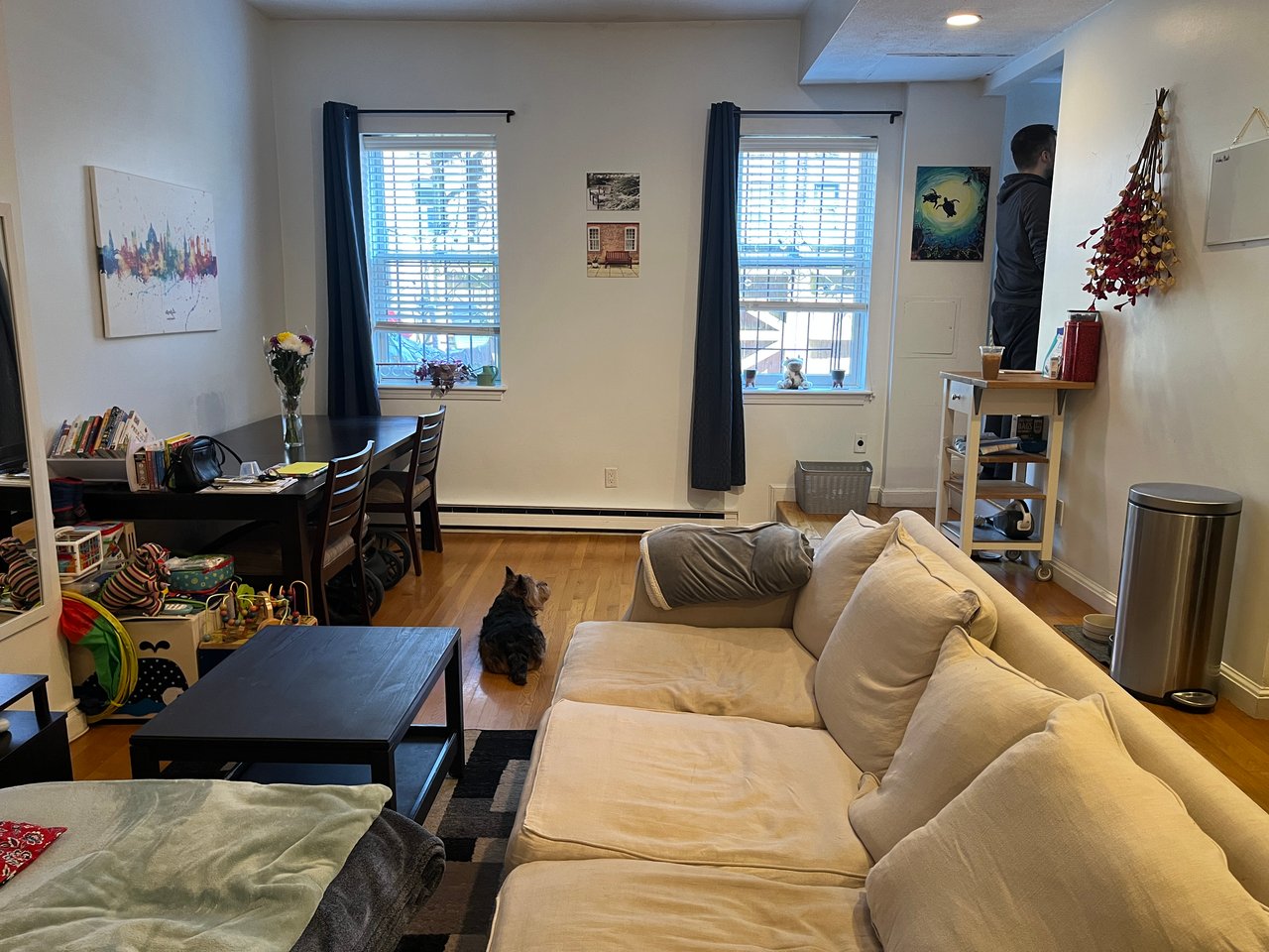 AUGUST - Private Entry 1 bed 1 bath on Back Bay / South End Border - Pets Negotiable! 