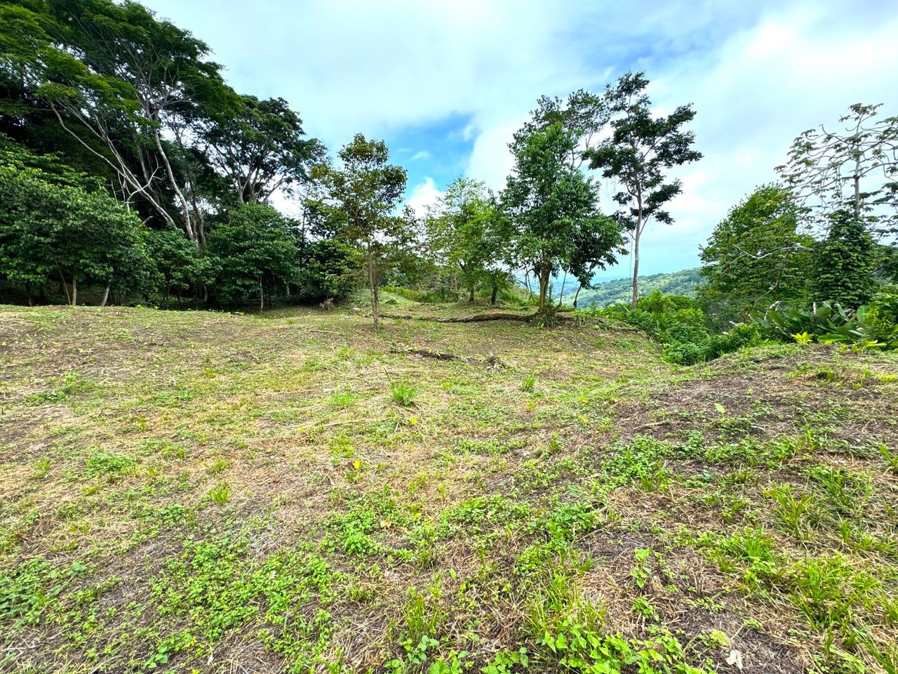 4.76 ACRES – Ocean View Property in Lagunas, Completely Flat And Usable, Commercial Or Residential, Ready To Build!!!