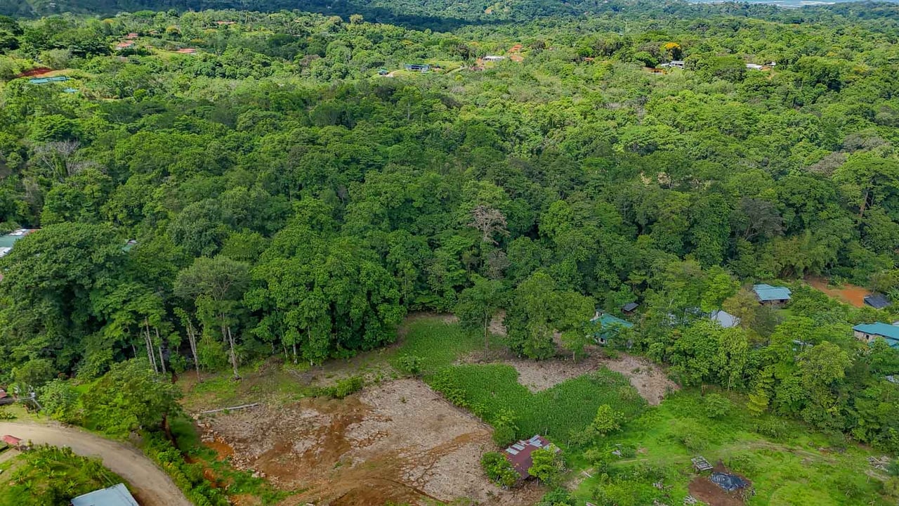 Rainforest Home with River, Jungle Trails & Pool in Ojochal