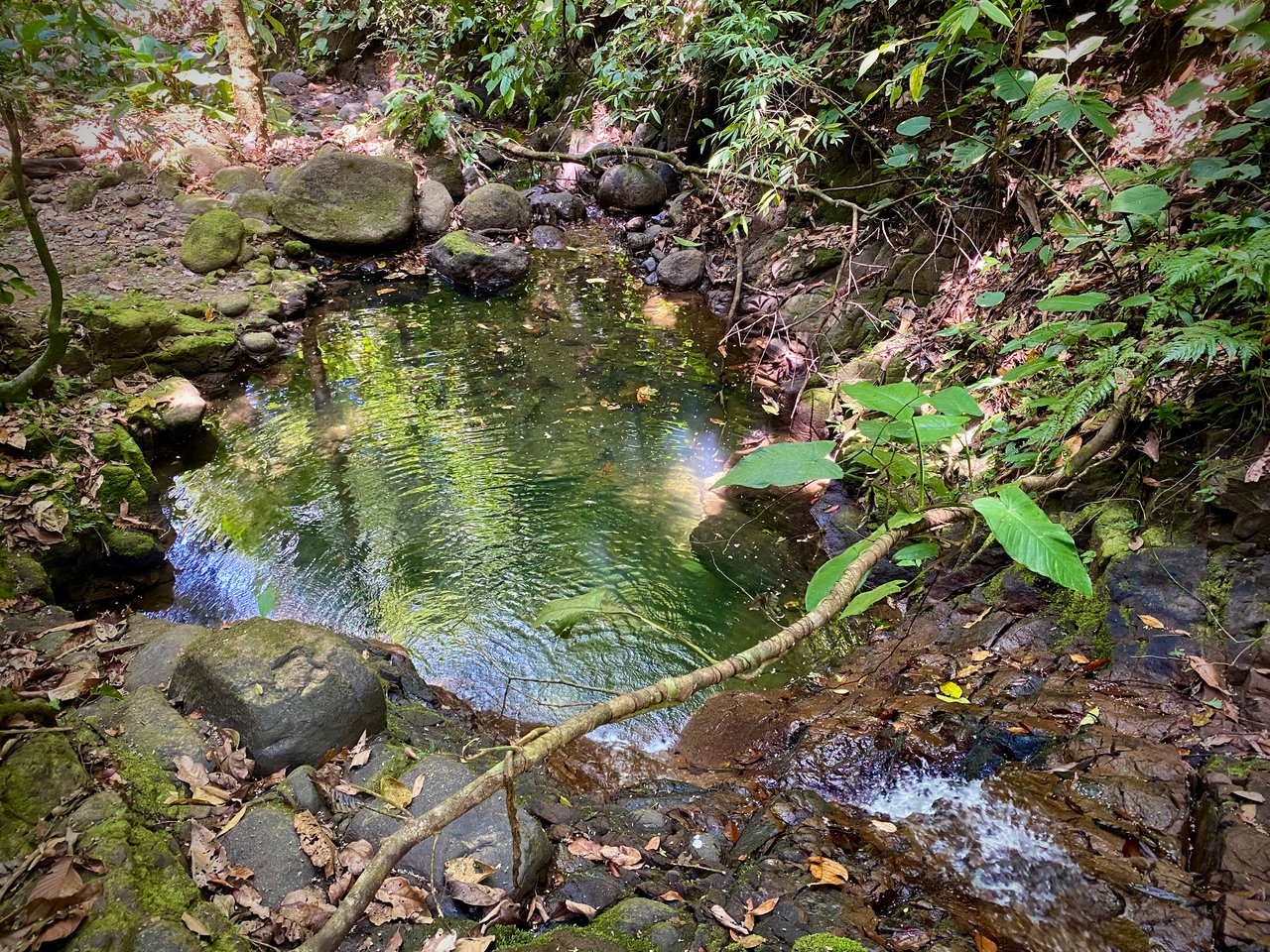 Charming 2-Bedroom Villa on 5 Acres with Creek Access and Income Potential