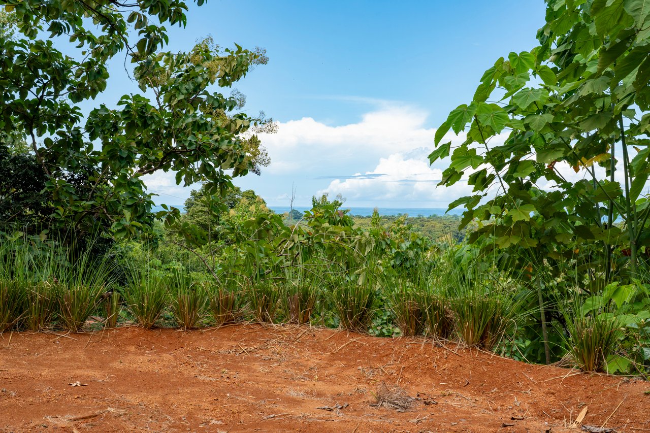 ¡New Gated Development in Matapalo - Ocean View and Flat Land, ready to build!