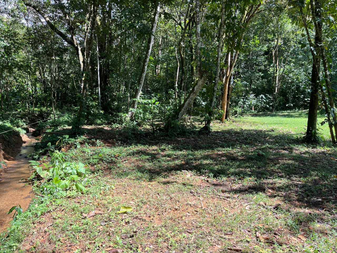 Tortuga Abajo Lot, Just before Ojochal.