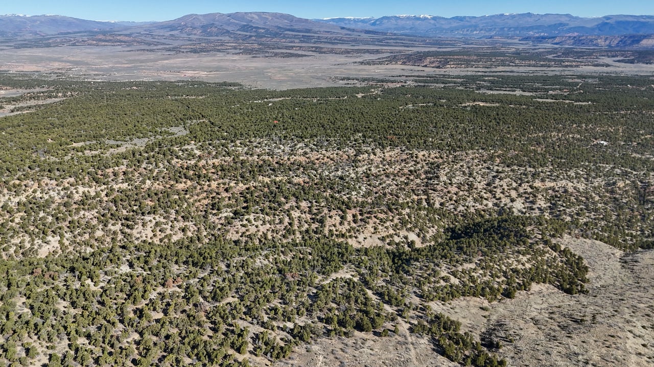 1 W Elk Meadows
