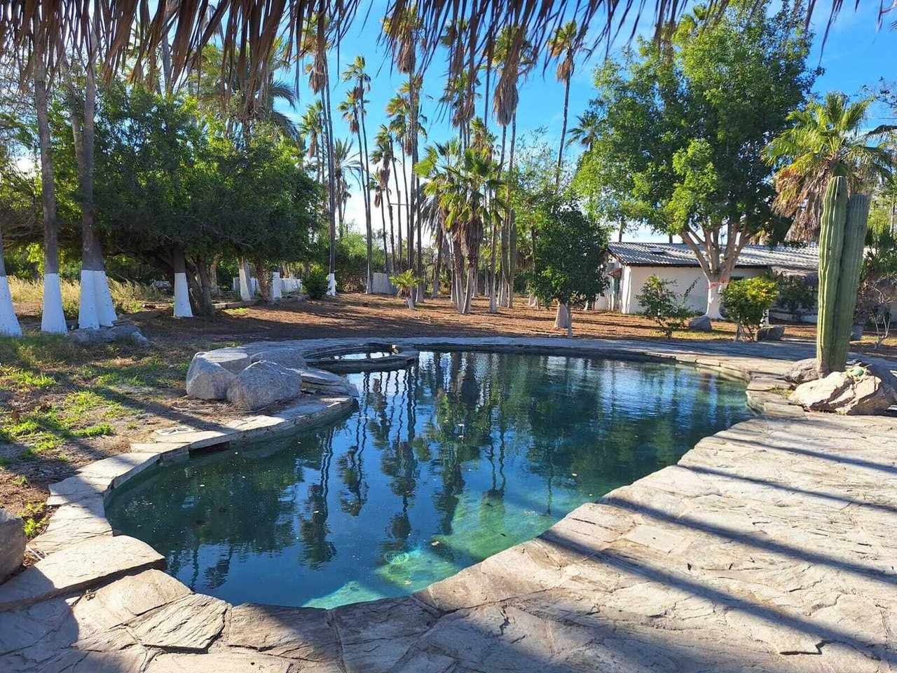 Compound Los Pinos