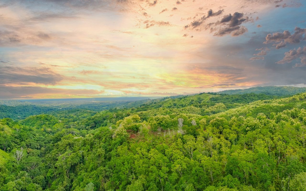 Ocean View Ridge Farm | 135-Acre Estate Near Playa Hermosa, Jacó