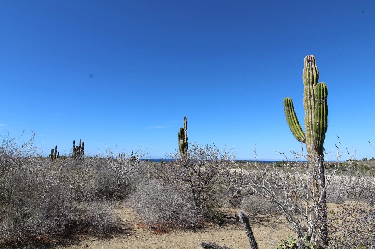 Ranchito Ellias Calles
