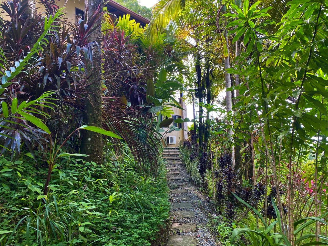 Jungle Villa with Infinity Pool, Uvita, Puntarenas