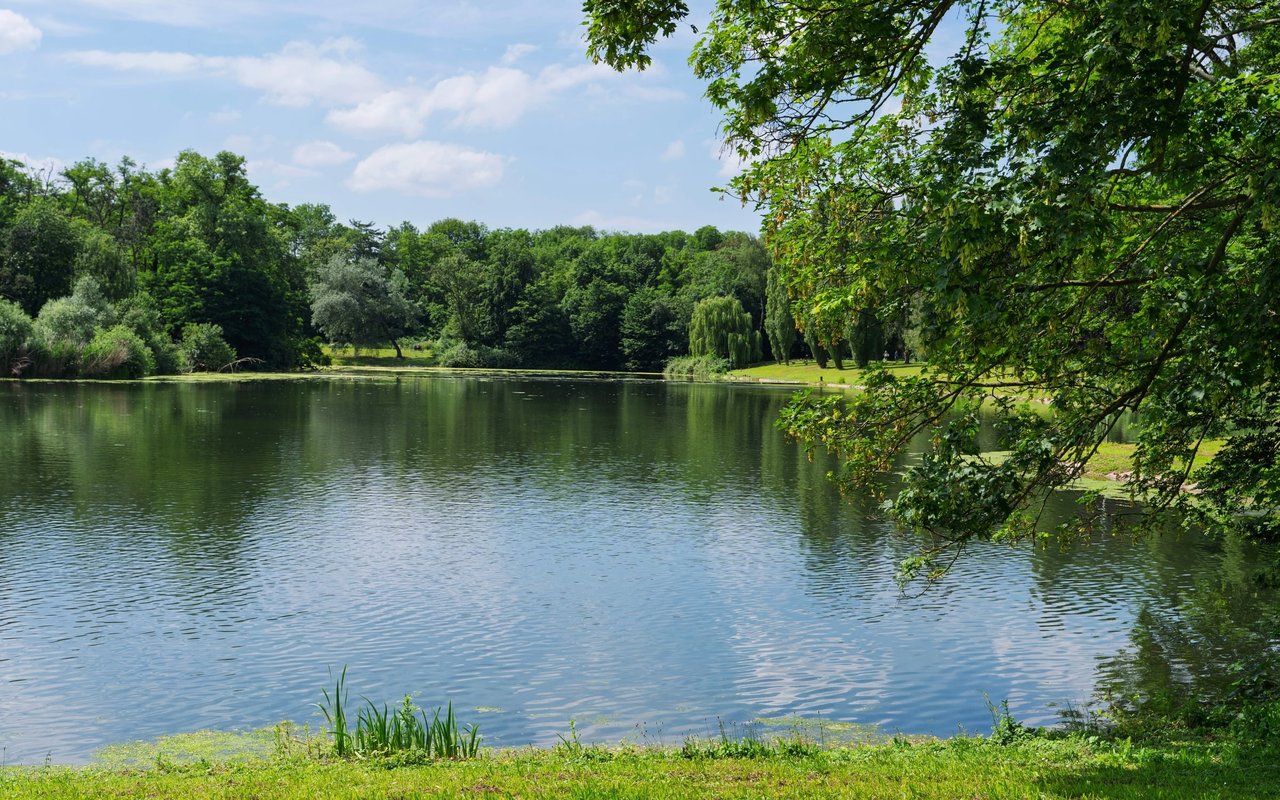 Bay Wood