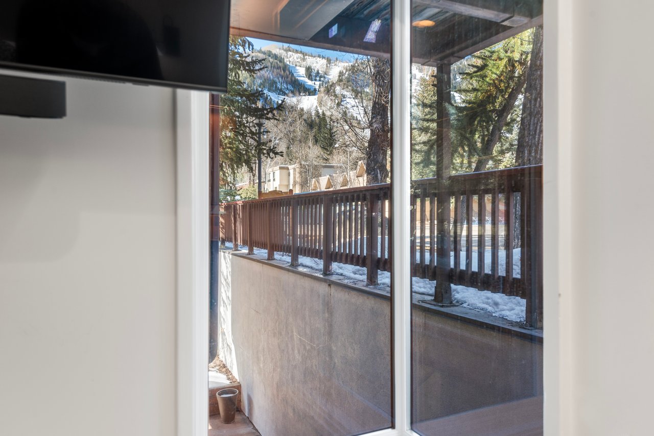 Newly Remodeled Core Condo with Aspen Mountain Views