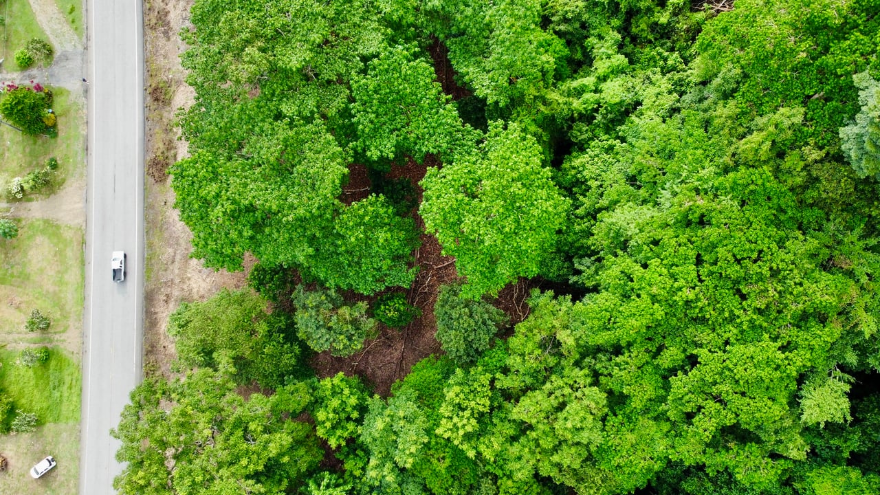 Tawal Lots for Sale – Prime Commercial & Residential Opportunity