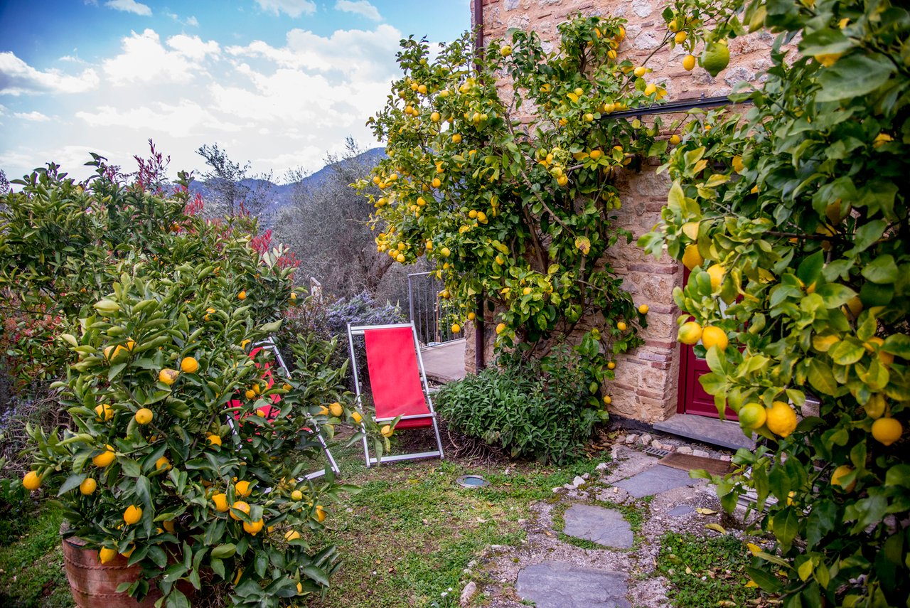 Casa Dell'arte Villa of Art