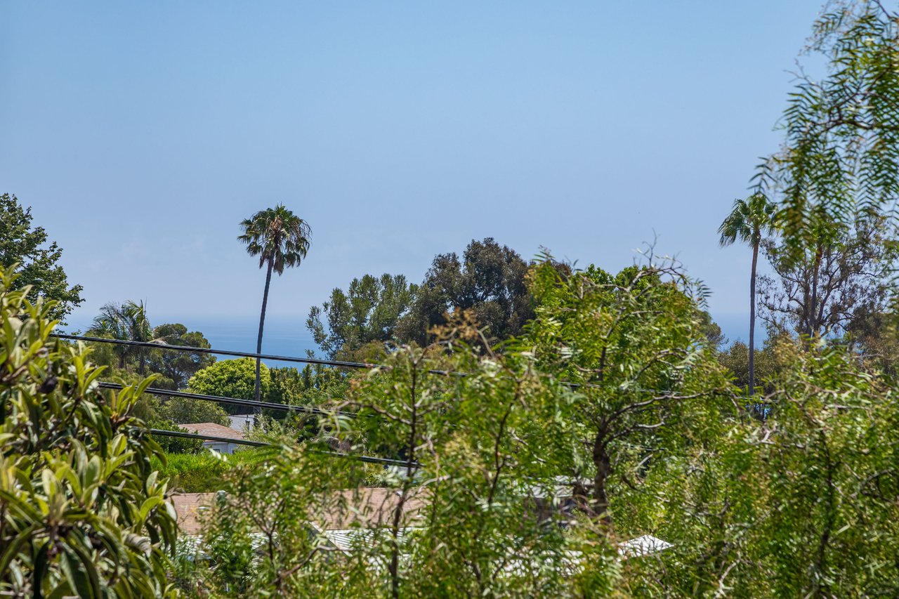 28368 Rey De Copas Ln