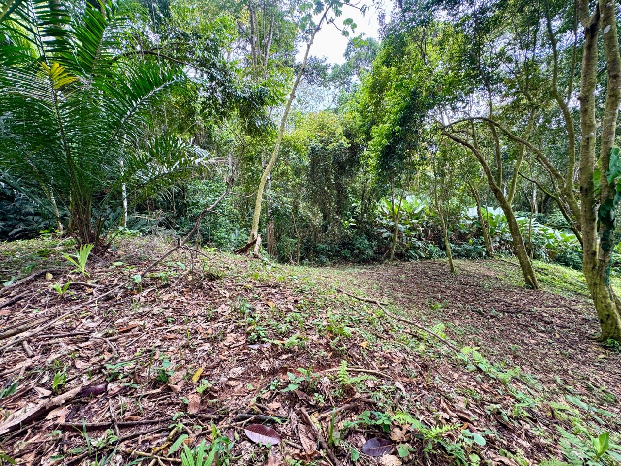 3 ACRES – Beautiful Mountain View Property, Small Ocean Window, Public Road Frontage, Multiple Building Sites, Many Fruit Trees!!!!